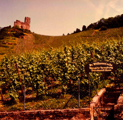 Family Vineyards at Peter Mertes